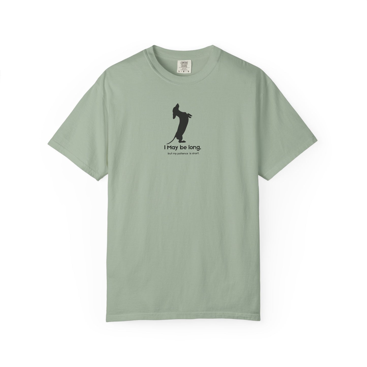 Light green  t-shirt with black I may be long, but my patience is short 